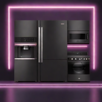 Bissell Steam Mop 1030