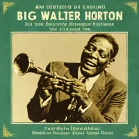 Big Walter Horton - An Offer You Can't Refuse