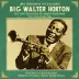 Big Walter Horton - An Offer You Can't Refuse