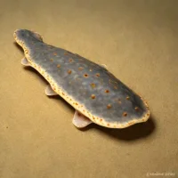 Biscuit Skate