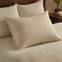 Buckwheat Hull Pillow