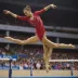 British Gymnastics Championships