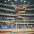 Belarusian Gymnastics Championships