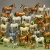 Beswick Pottery