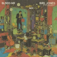 Blind Mr. Jones - Stereo Musicale