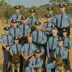 Blue Heelers