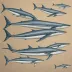 Bryde's Whale
