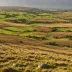 Barden Moor