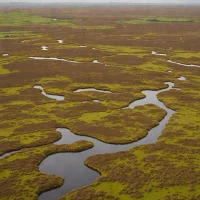 Berriedale Moors