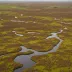 Berriedale Moors