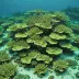 Buck Island Reef National Monument