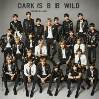 BTS - Dark & Wild