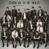 BTS - Dark & Wild