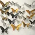BTS - Wings