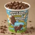 Ben & Jerry's Brownie Batter Core
