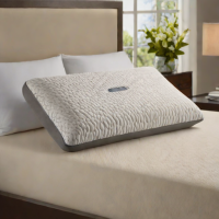 Beautyrest Silver Chill Memory Foam Pillow