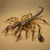 Babycurus jacksoni