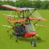 Buckeye Dragonfly