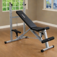 Body-Solid BR-1000 Bench