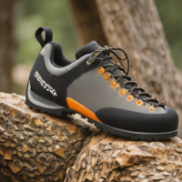Butora Endeavor