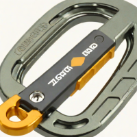 Black Diamond Zygro Screwgate Carabiner