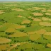 Bessarabian Steppe