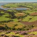 Bossington Hill