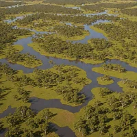 Barmah Forest Wetlands