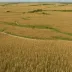 Broken Kettle Grasslands State Preserve