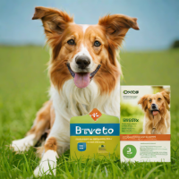 Bravecto for Dogs