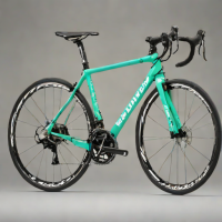 Bianchi C-Sync Sprint 2.1