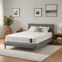 Brooklinen Luxe Adapt Smart Mattress