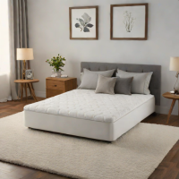 Brooklyn Bedding Smart Pillow & Mattress