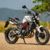 Benelli Leoncino 800 Trail