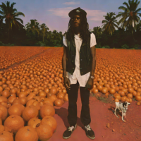 Blood Orange - *Feldspar* (2011)