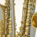 Bach STRADA Series 10 Tenor Saxophone