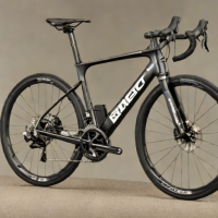 BMC Roadmachine E+ 1