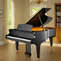 Bösendorfer CE 200