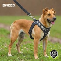 Bwzee Dog Harness