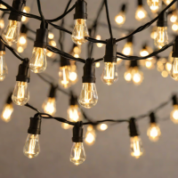 BrightEZ LED String Lights