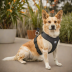 Bravado Designs Dog Harness