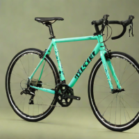 Bianchi C-Type