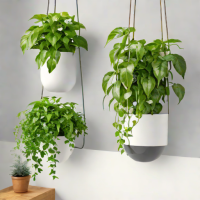 BlissBud Self Watering Hanging Planters