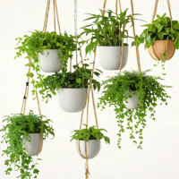 Bloomscape Hanging Planters