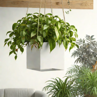 Boskke Hanging Planter - Cube