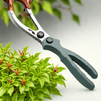 Budburst Pruning Shears