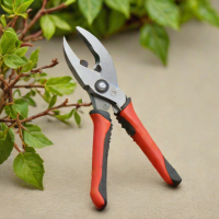 Bully Tools 12-Inch Pruning Shears
