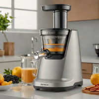 Breville Slow Juicer BJS700