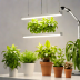 BrightBloom Grow Light