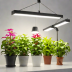 Bloomzilla Grow Light